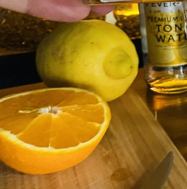 Zitrone und halbe Orange neben Tonic beim Tasting