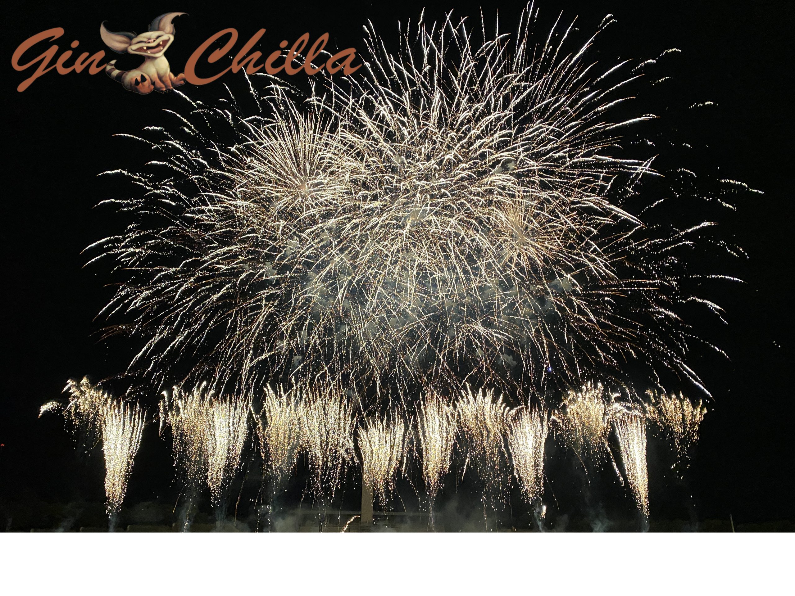 Silvester Ginner - 3 Gin Drinks im Menü